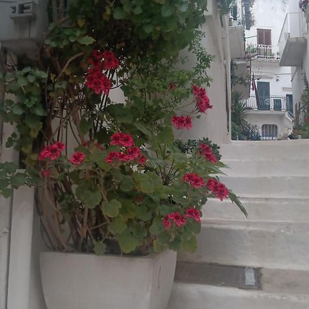 La Chicca Di C.Cavour Hotel ออสตูนี ภายนอก รูปภาพ