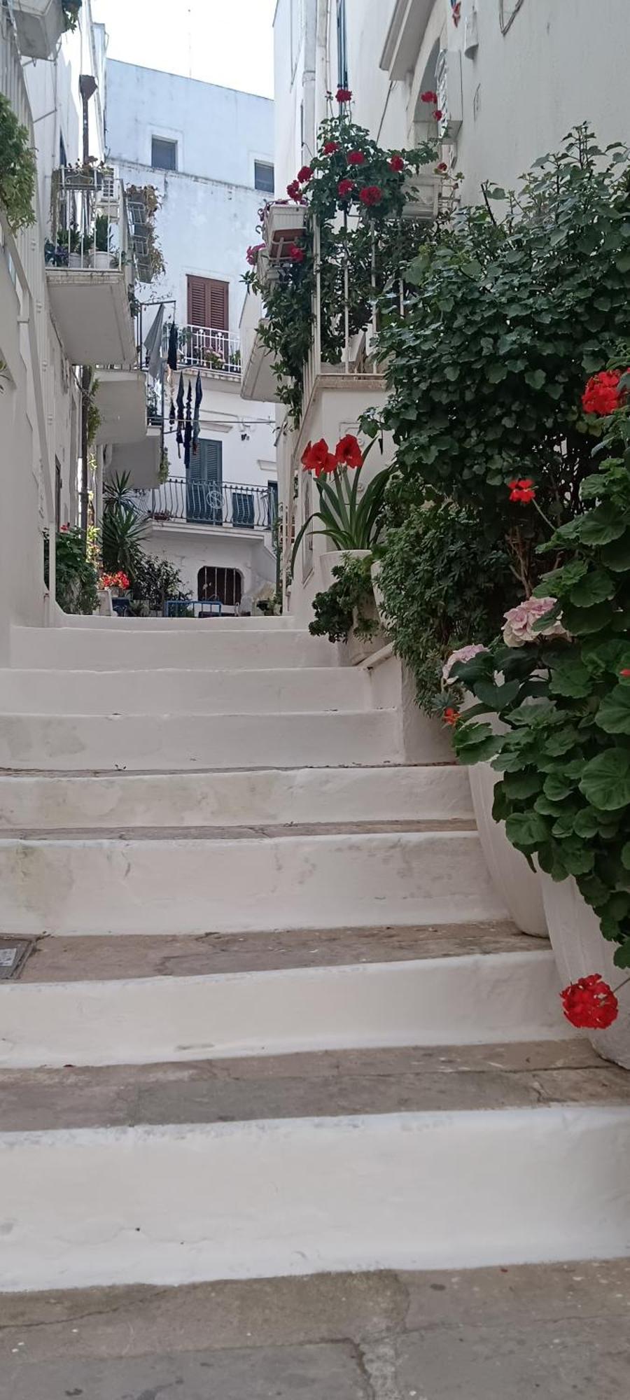 La Chicca Di C.Cavour Hotel ออสตูนี ภายนอก รูปภาพ